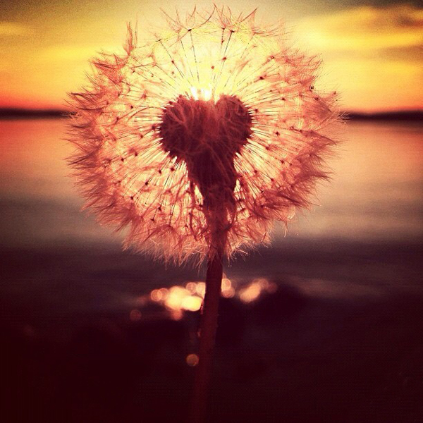 Breathtaking-photos-get-you-hooked-phoneography-18