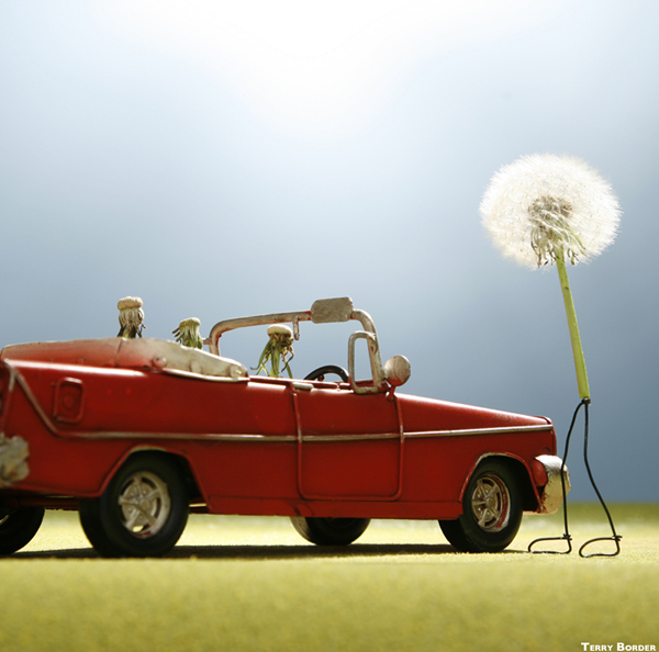 Outside-the-box-designs-T.Border-Bent-Objects-5 Outside-the-box-designs-T.Border-Bent-Objects-5