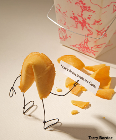 Outside-the-box-designs-T.Border-Bent-Objects-6 Outside-the-box-designs-T.Border-Bent-Objects-6