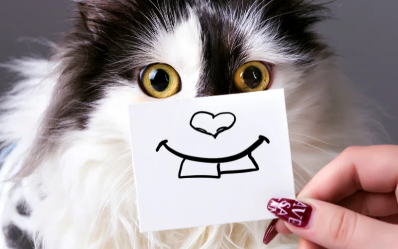 11 Funny Print Ads That’ll Make You Laugh For Sure