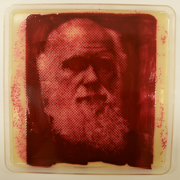 Bacteriography-unique-art-microbiologist-Zachary-Copfer-6