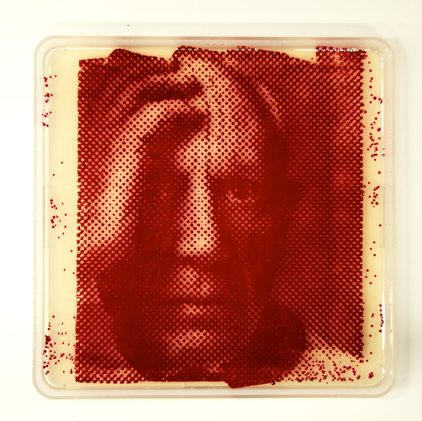 Bacteriography-unique-art-microbiologist-Zachary-Copfer-7