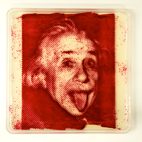 Bacteriography-unique-art-microbiologist-Zachary-Copfer-8