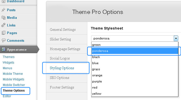 How-to-customize-WordPress-theme-freelance-portfolio-4