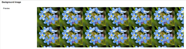 How-to-customize-WordPress-theme-freelance-portfolio-7