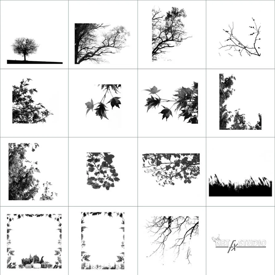 15 high resolution brushes of various fall borders - Preview image of Thanksgiving resource