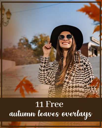 autumn leave overlays