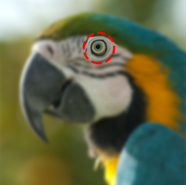 Illustrator-Photoshop-tutorials-roundup-april-2013-8