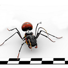 Strategies to Help You Reach the Finish Line