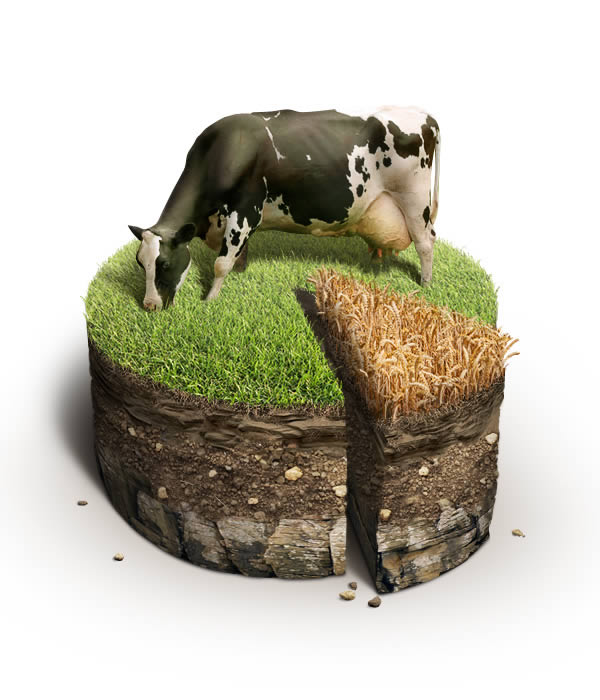 Top-40-Photoshop-and-Illustrator-Tutorials-14