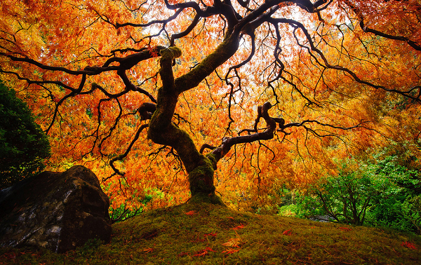 Design-Inspiration-Breathtaking-Landscape-Photography-7