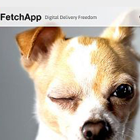 Top 15 Powerful Platforms for Selling Your Digital Products