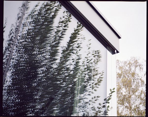 Beautiful-Film-Photography-by-Ramon-Spaeti-11