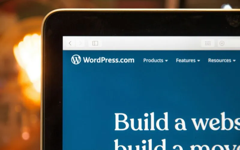30 Best Free WordPress Themes To Check Out In 2025