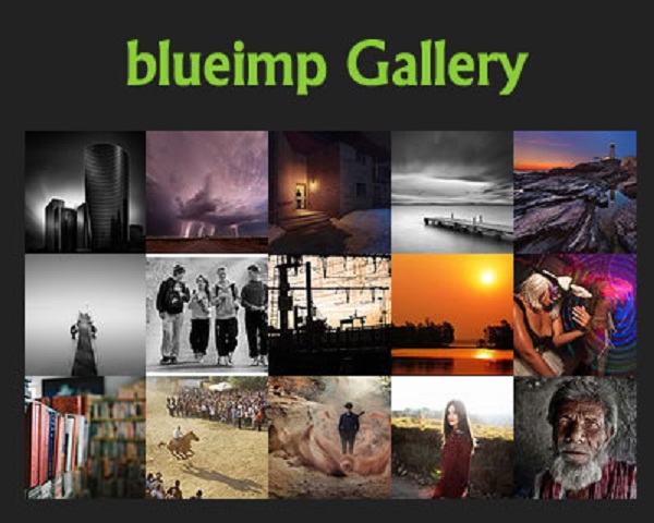 14-Free-Tools-to-Help-You-Build-the-Best-Portfolio-7