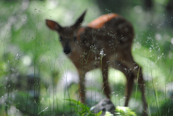 15-Essential-Portrait-Photography-Tips-and-Inspiration-14