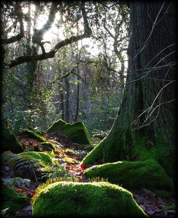 Wire-Sculptures-with-a-Twist-by-Robin-Wight-1