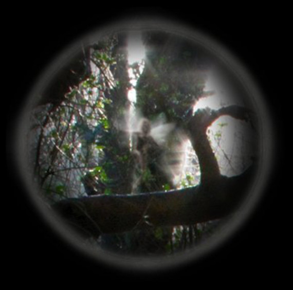 Wire-Sculptures-with-a-Twist-by-Robin-Wight-2