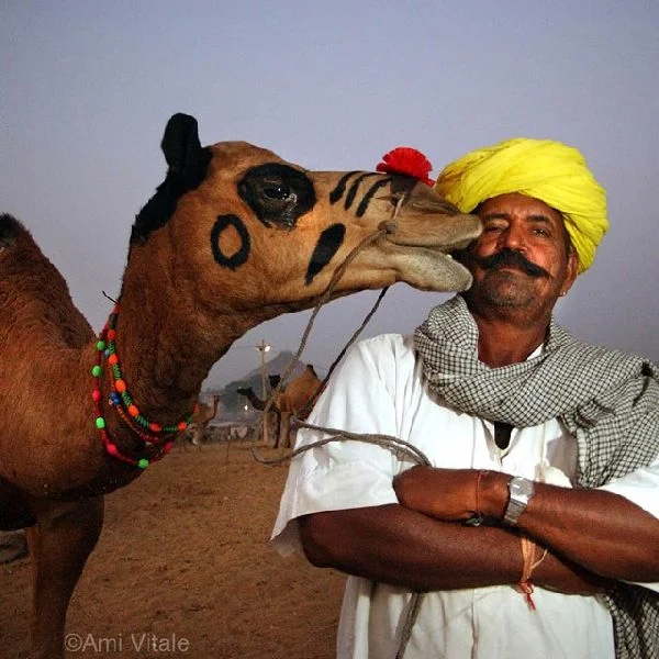 artwork from dessert