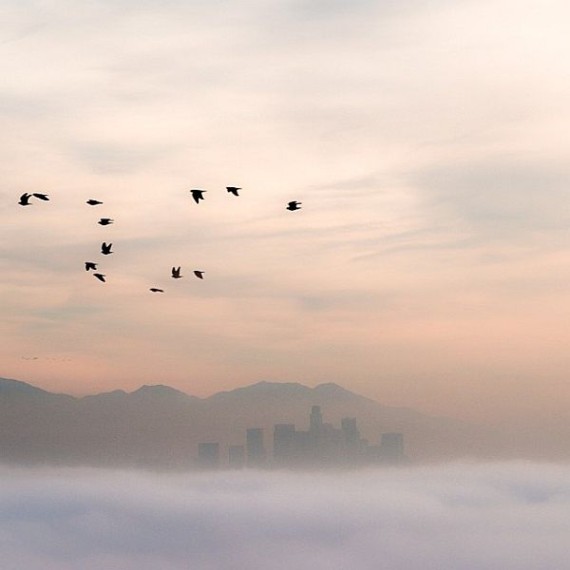 Los Angeles by Dan Marker-Moore