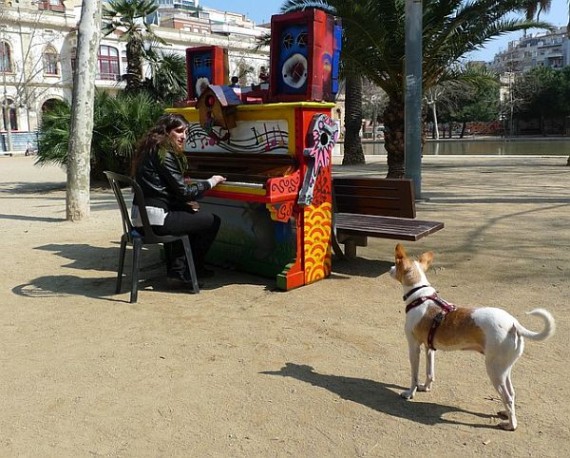 International Piano Phenomenon