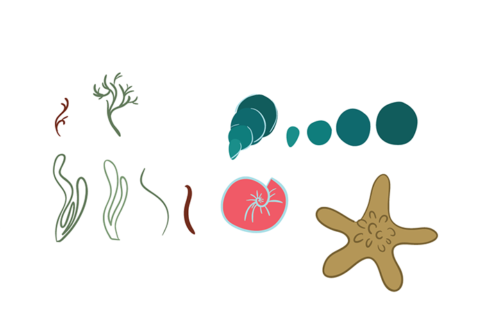 tutorial summer illustration