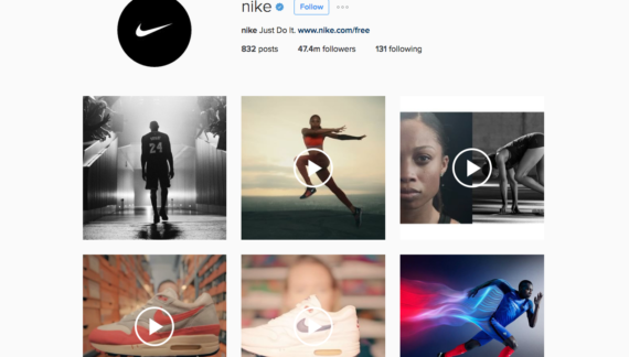 Use Stunning Photos to Create the Go-To Website 3