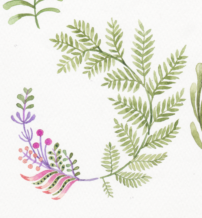 step 4 of the tutorial