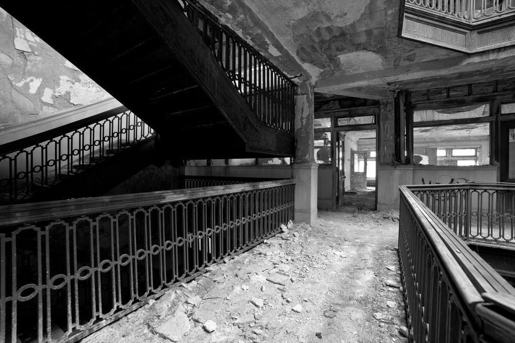 photography freebies