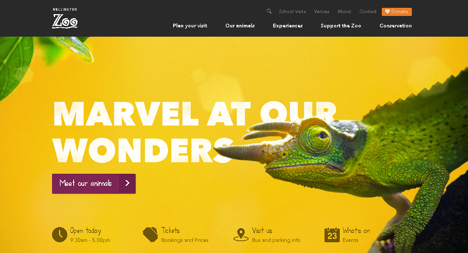 Websites with Large Background Images