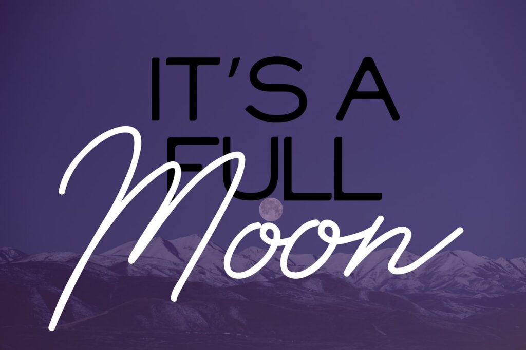 professional fonts, resume font, good resume fonts