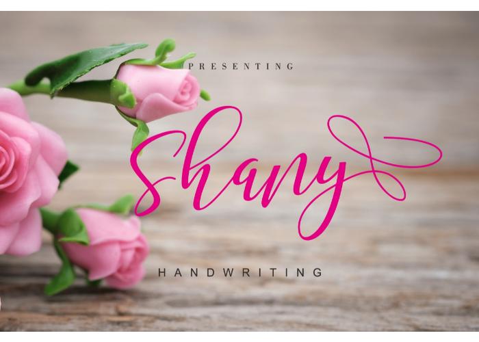 shany font