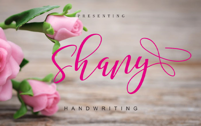 shany font - the seasons font
