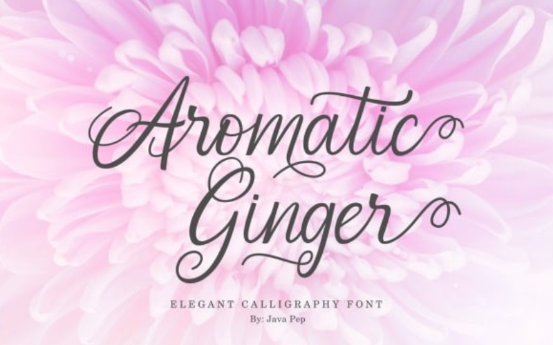 aromatic ginger font - good christmas fonts
