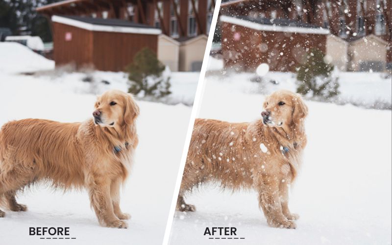 before/after results