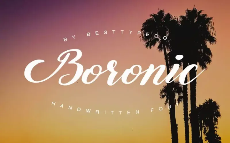 Boronic font