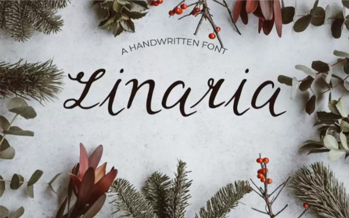 beautiful-fonts-linaria-font