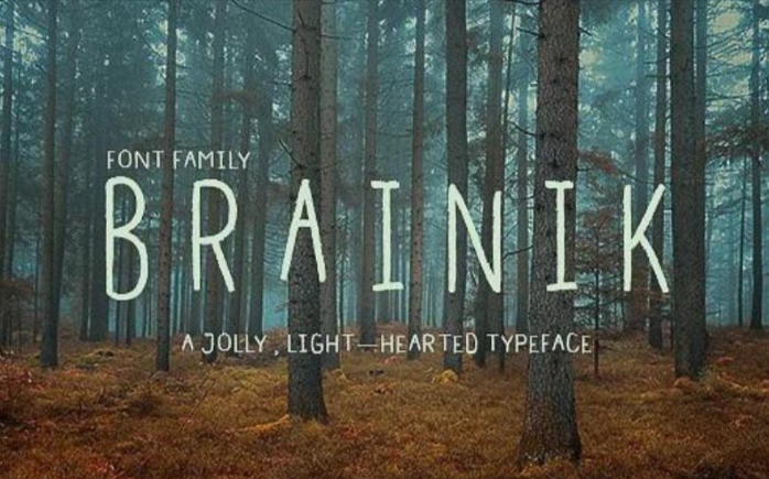 brainik-font-family