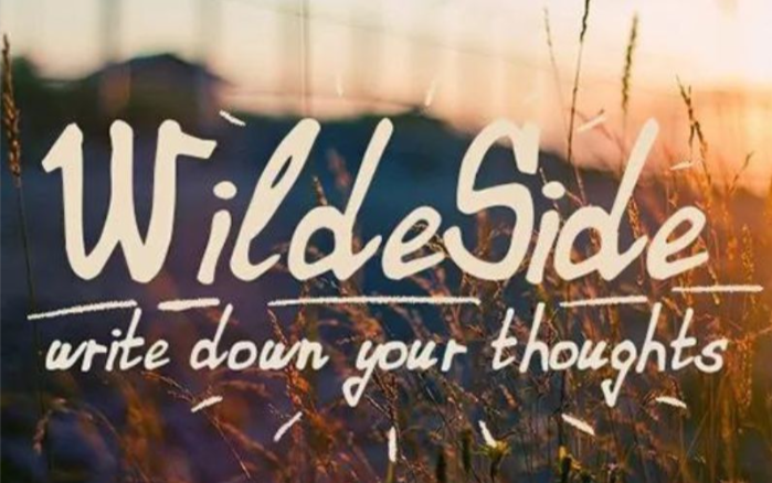 beautiful-fonts-wildeside-font