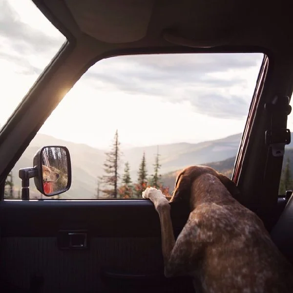 famous photographers - theron humphrey