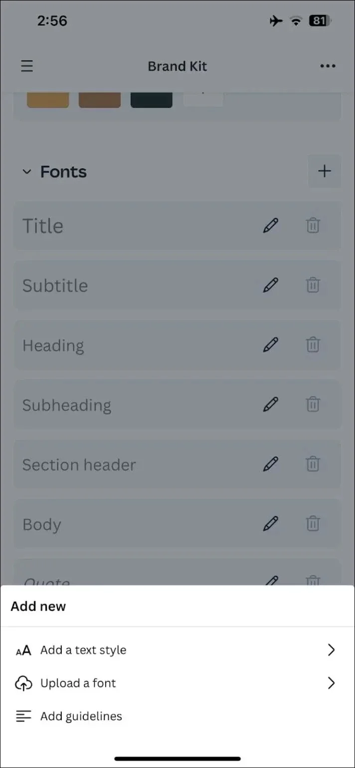elevate the look of your designs 
