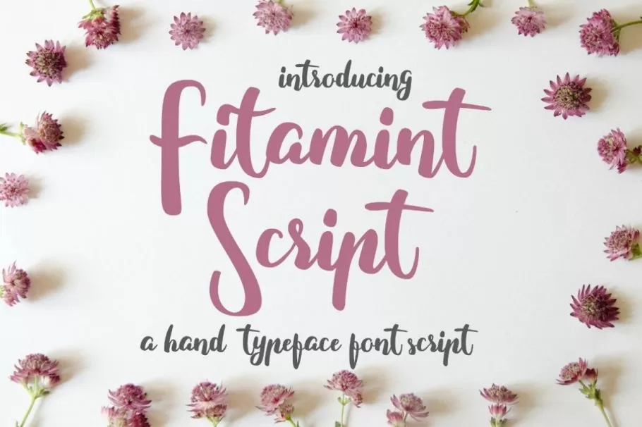 Fitamint Script Font, hand typeface font