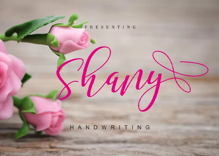 preview image, Shany Free Font