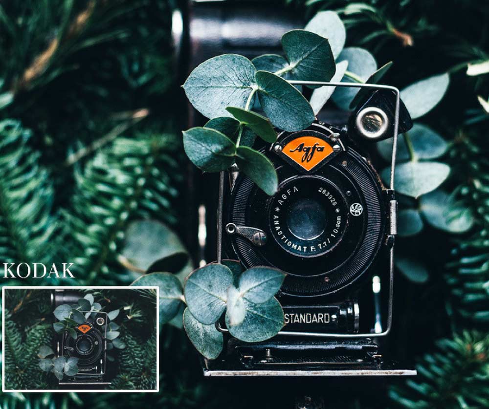 Kodak Camera Lightroom preset