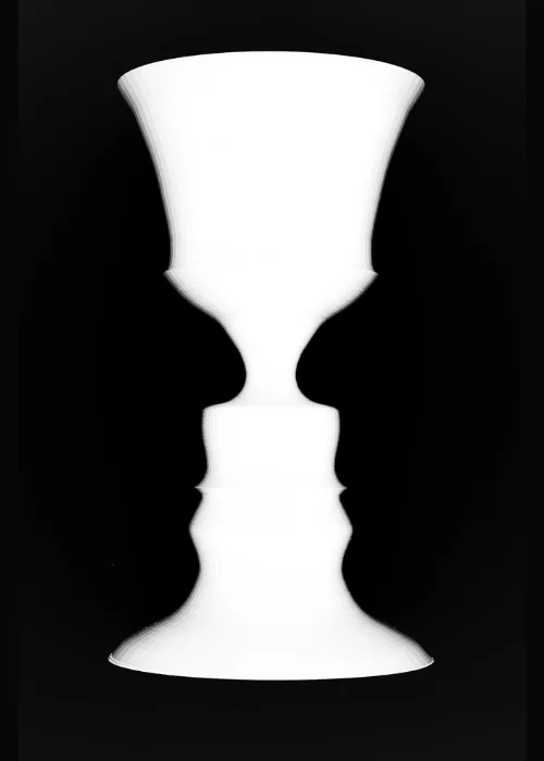 Rubin's vase of negative space art