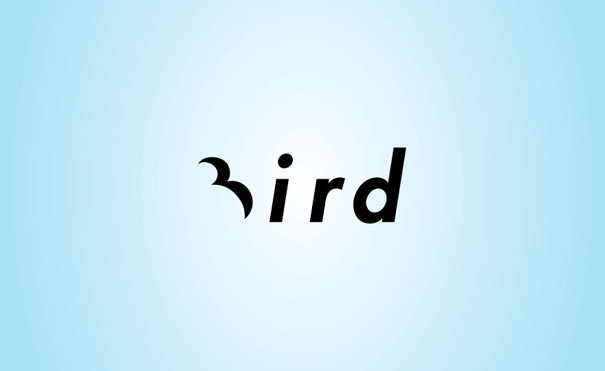 Bird brand logo