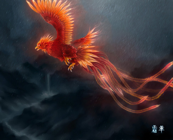 mythical creatures illustrations - phoenix