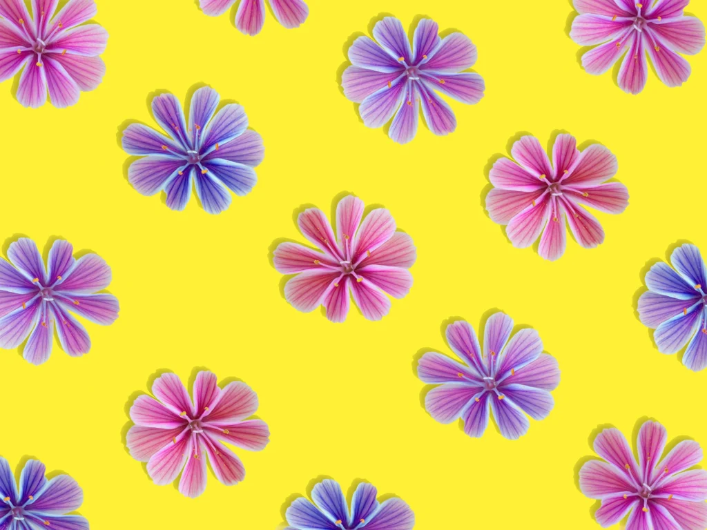 flowers spread on a yellow background