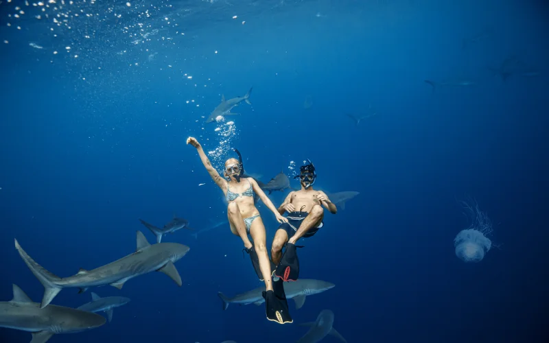 swimming with sharks - crazy new year resolution ideas