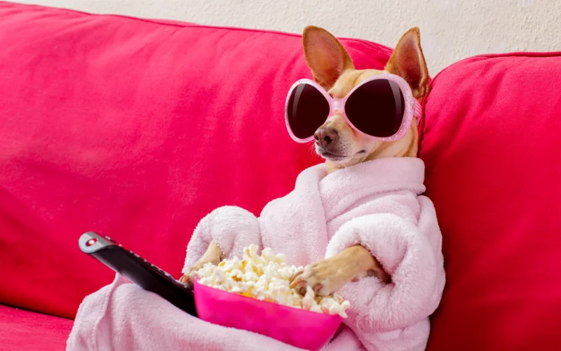 crazy new year resolutions